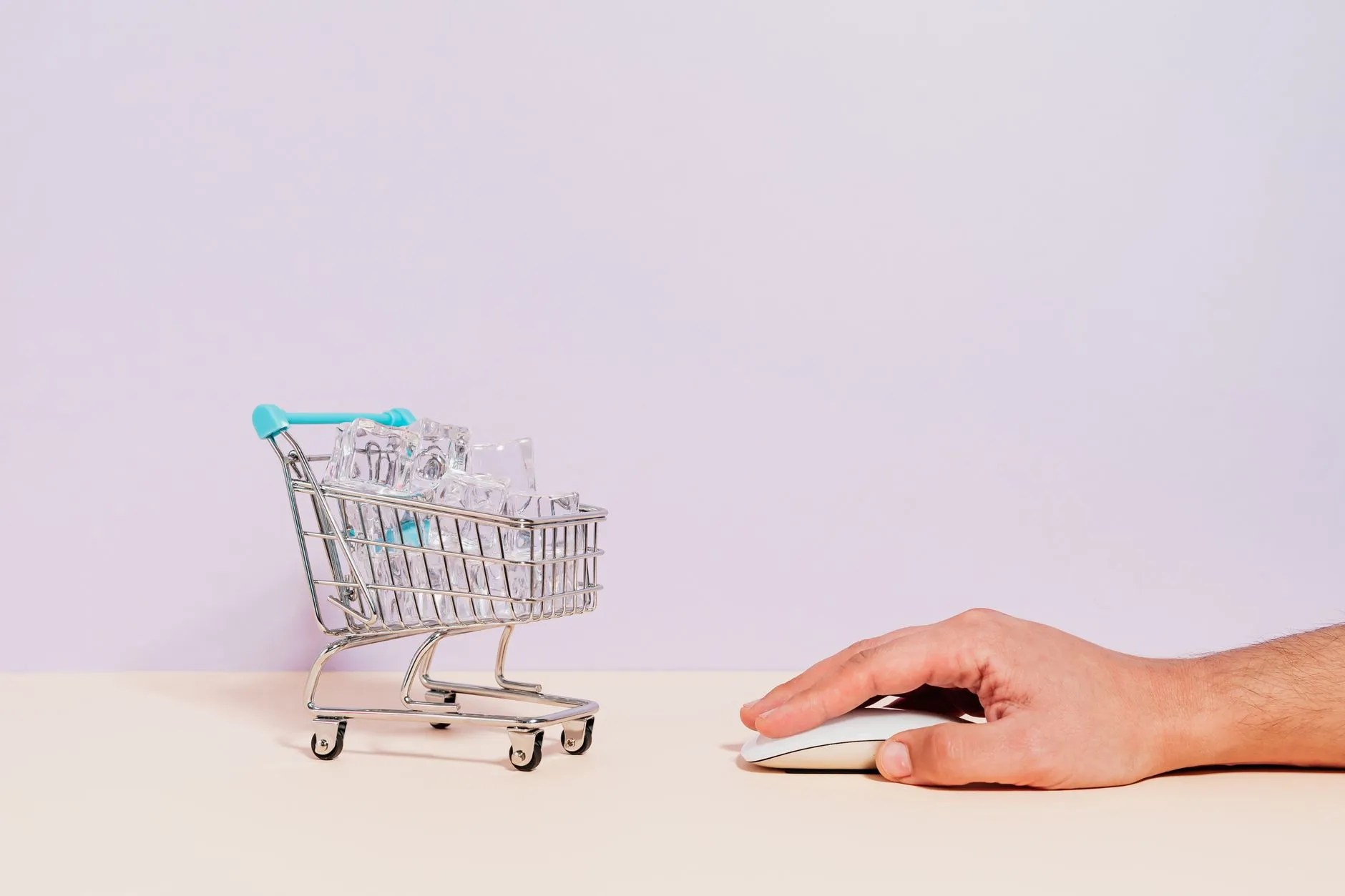 WordPress vs Shopify