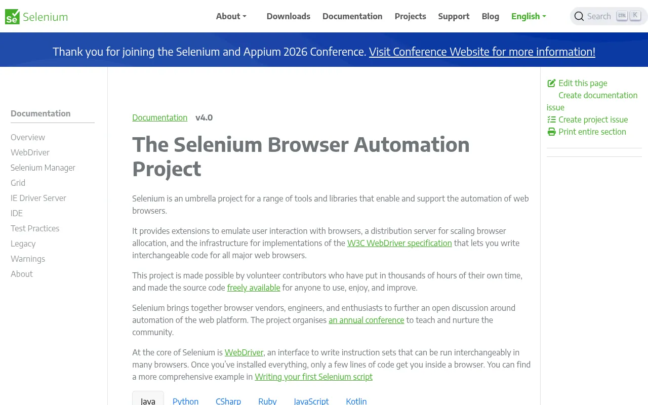Selenium code editor — example syntax and code structure